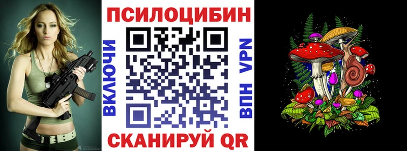 наркошоп Сенгилей МЕГА tor Галлюциногенные грибы мухоморы